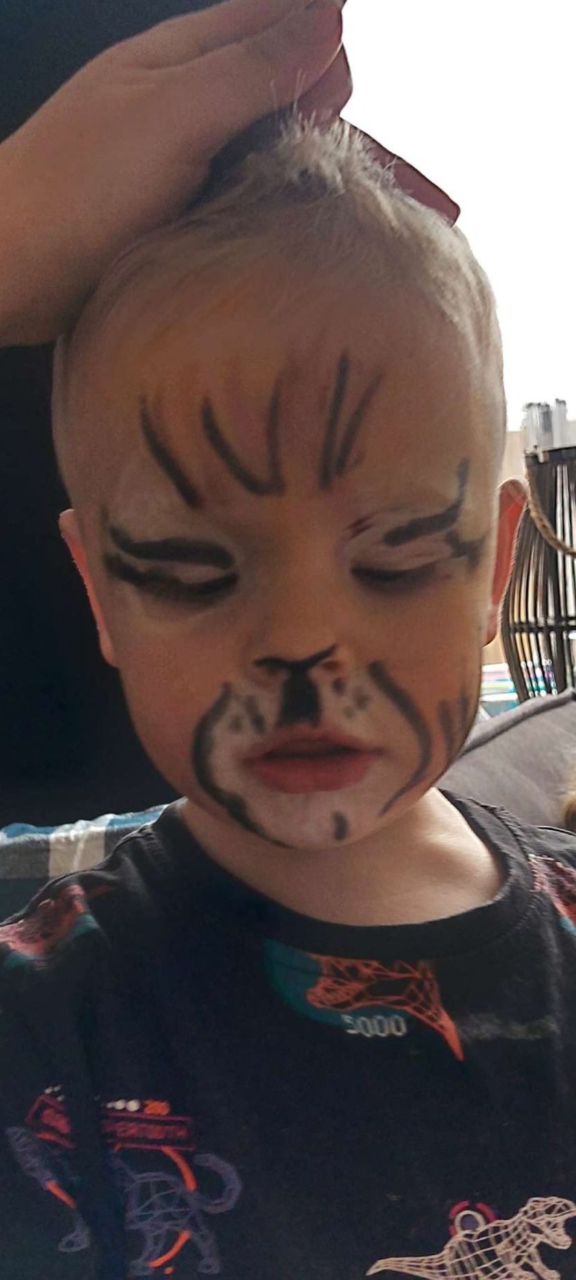 Sminken (themafeestjes) carnaval