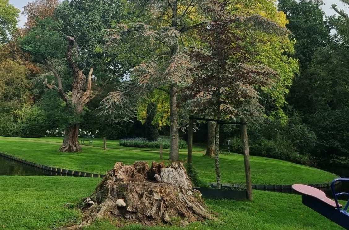 Gezellig met de bakfiets naar het park