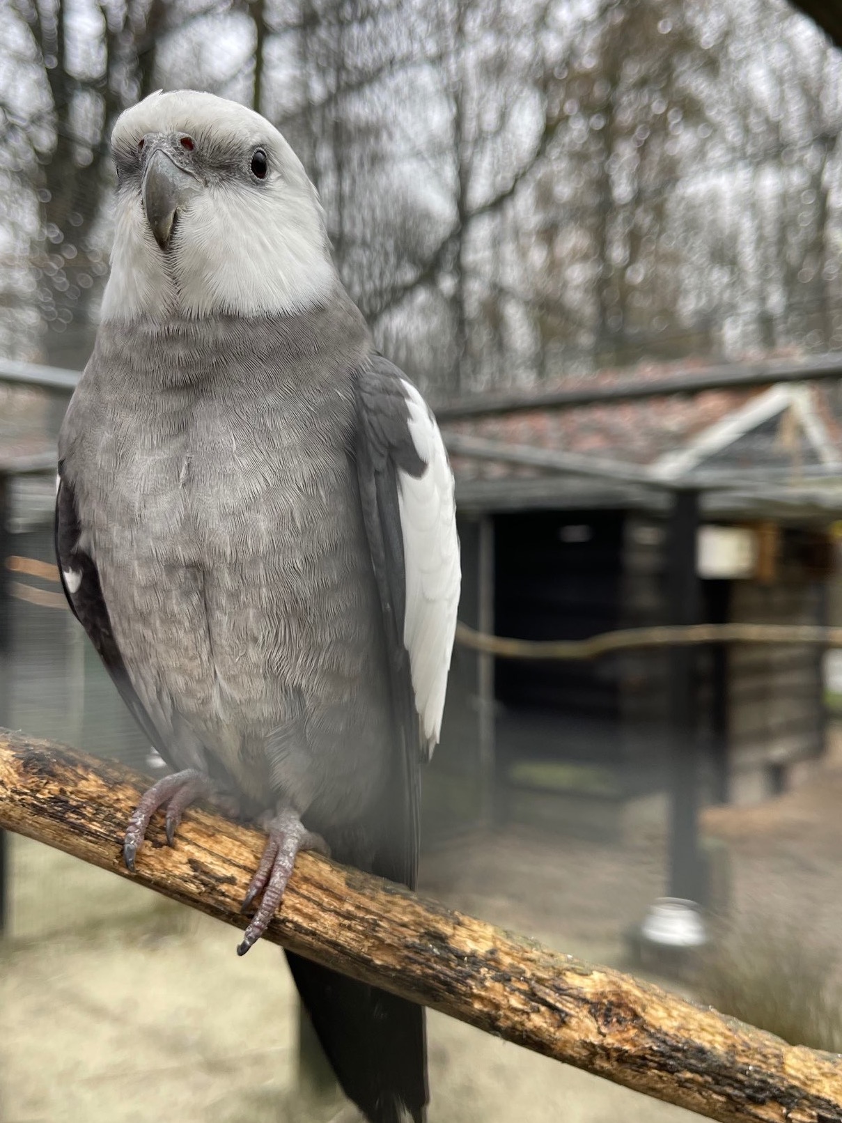 Bezoeken we verschillende kinderboerderi