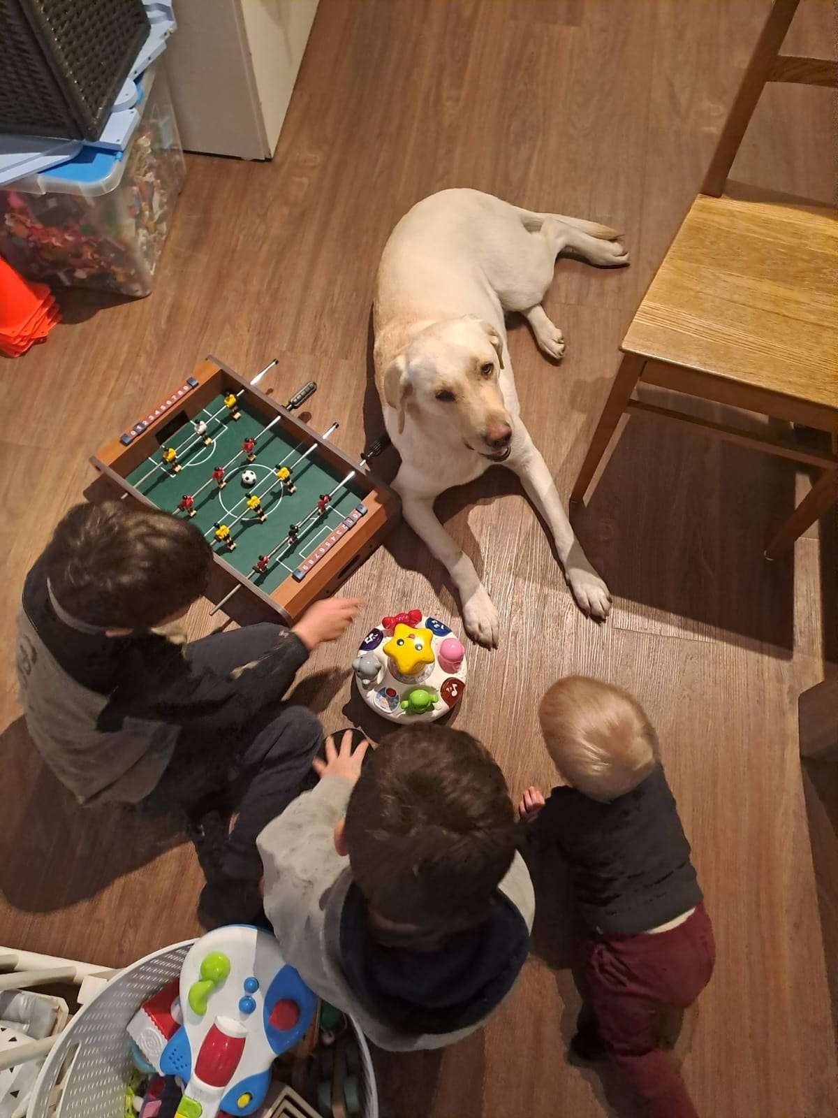Samen spelen, ook met de hond erbij