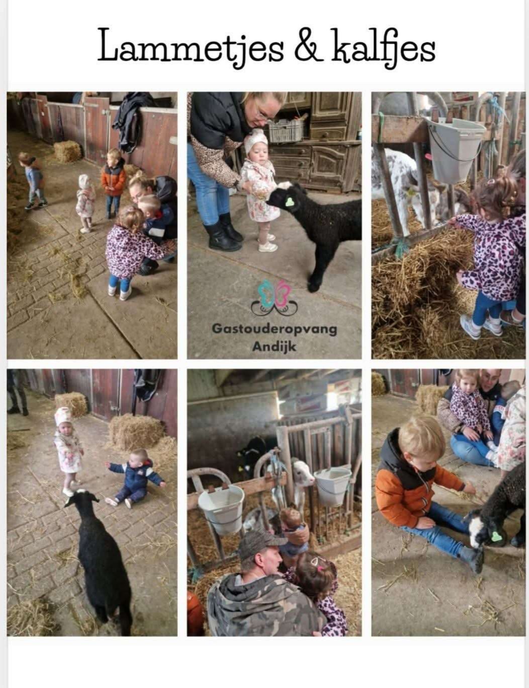 Dagjes uit, naar diertjes vinden we ook 